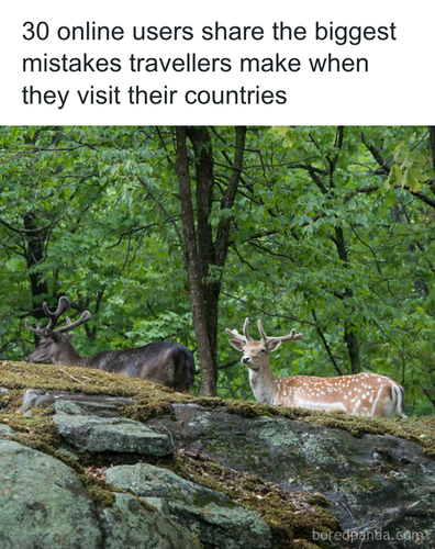 download 2025 11 04T094434.285.png