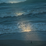 Great Photo