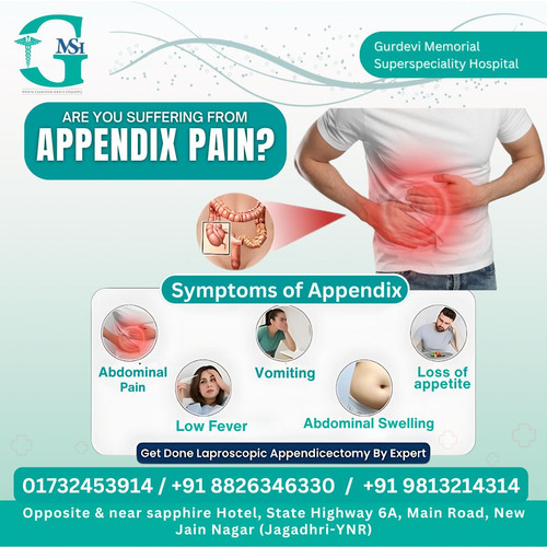 Where Can I Get the Best Appendix Treatment in Yamunanagar.jpg
