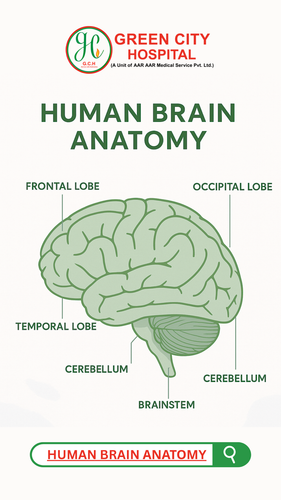 Green City Hospital Neurology.png