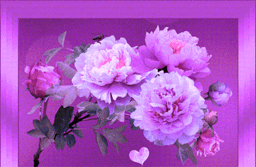 Roos Theme desgn Header.gif
