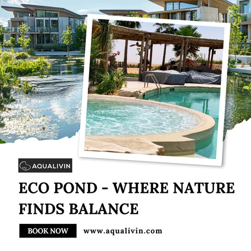 Turn Your Garden into a Living Paradise with an Eco Pond.jpg