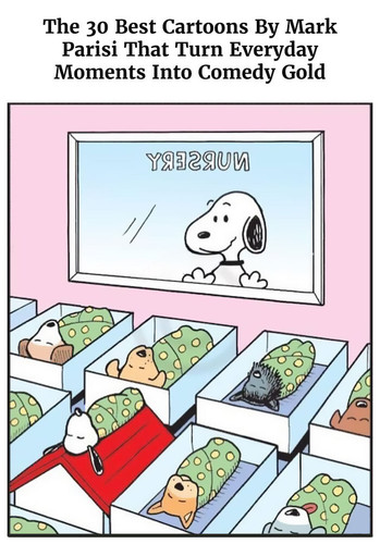 the best of mark.jpg