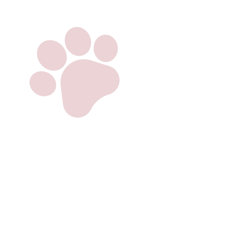 New Project (22).png