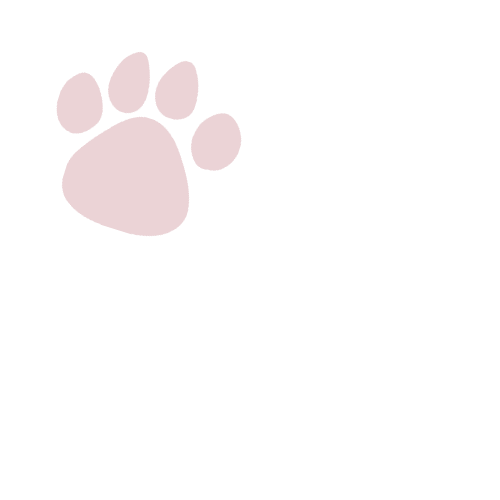 New Project (21).png