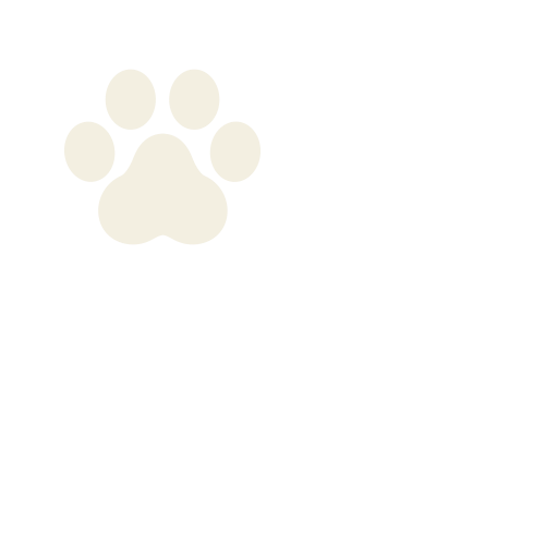 New Project (20).png