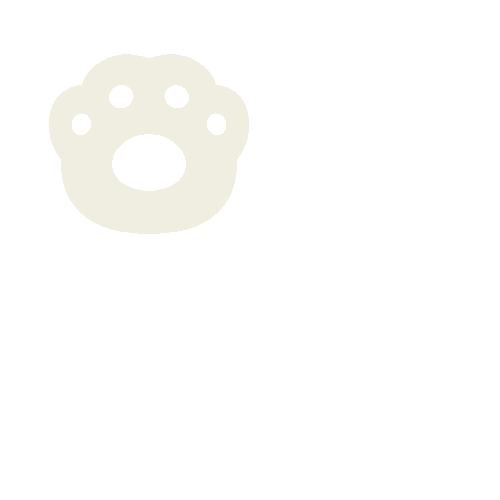 New Project (23).png