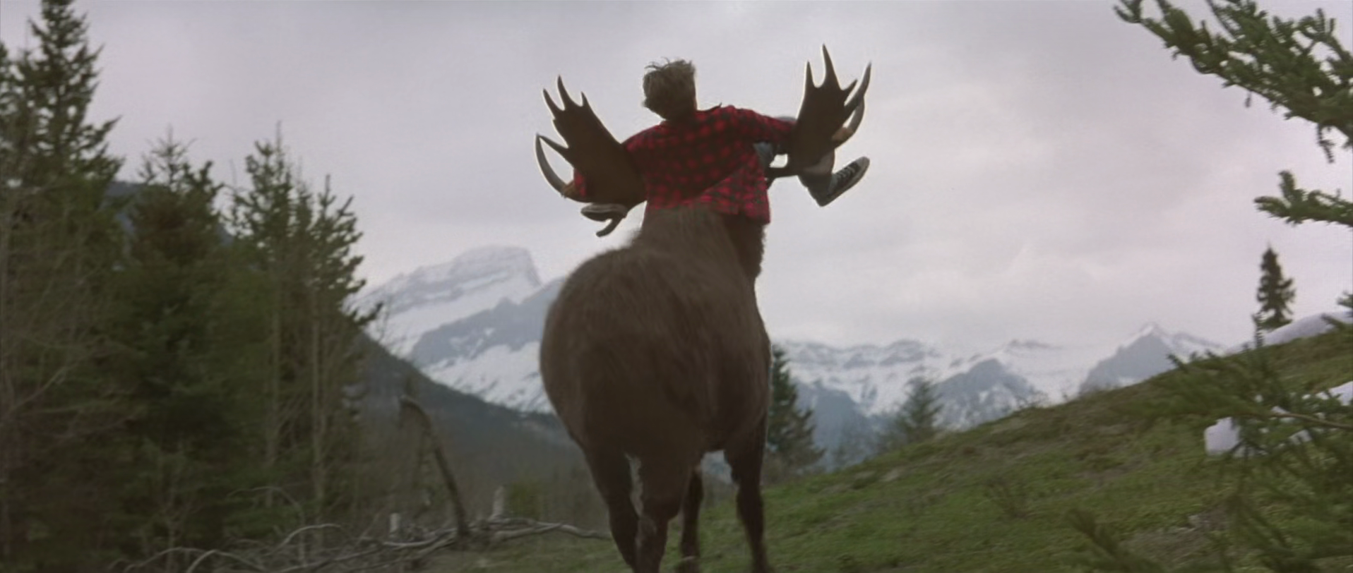 vlcsnap 2025 11 03 18h29m02s364