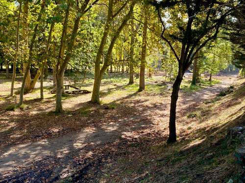 IMG 20251104 WA0092.jpg