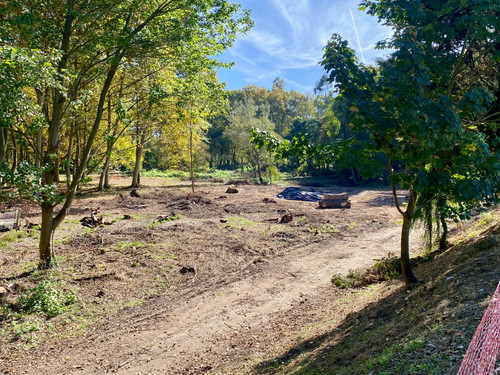 IMG 20251104 WA0100.jpg