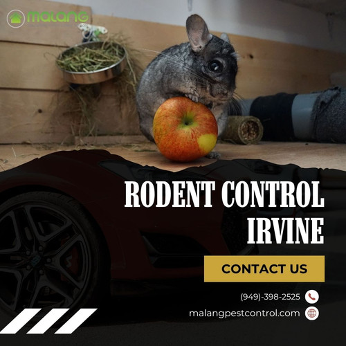 Rodent Control in Irvine – Expert Solutions by Malang Pest Control.jpg