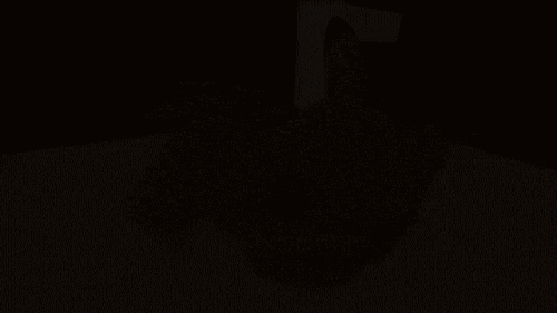 850429ea2cc7b4.gif