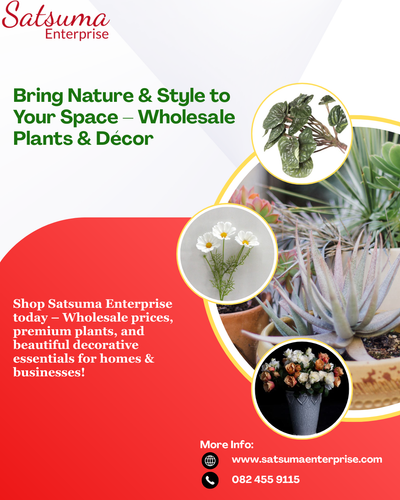 www.satsumaenterprise.com.png