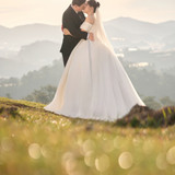 Hayes Studio PRE 290