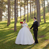 Hayes Studio PRE 889