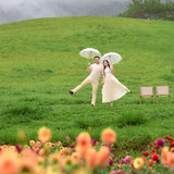 Hayes Studio PRE 2050