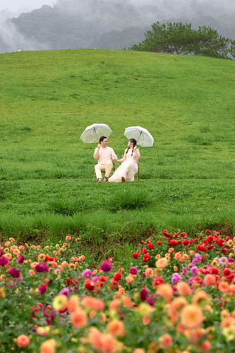 Hayes Studio PRE 1990.jpg