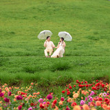 Hayes Studio PRE 1990