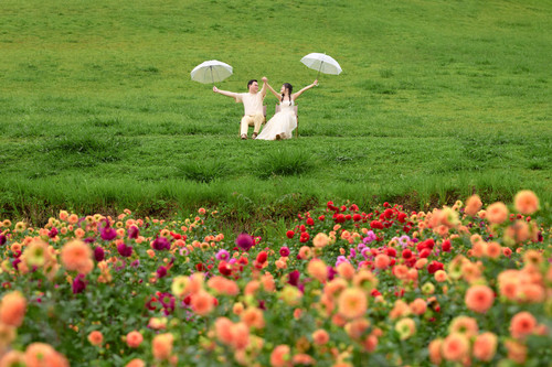 Hayes Studio PRE 1987.jpg