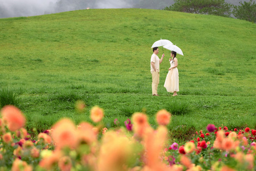 Hayes Studio PRE 2088.jpg