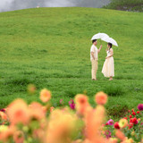 Hayes Studio PRE 2088