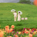 Hayes Studio PRE 2024