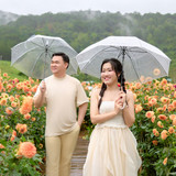 Hayes Studio PRE 2136