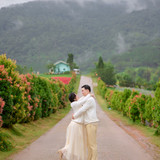 Hayes Studio PRE 2479