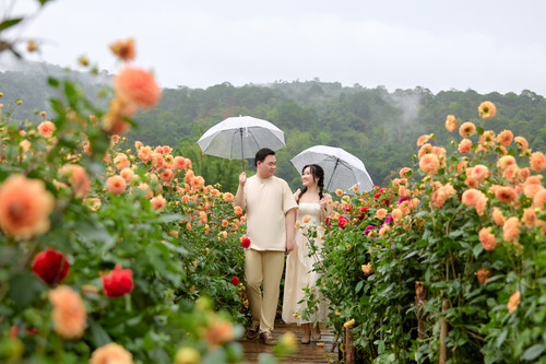 Hayes Studio PRE 2159.jpg