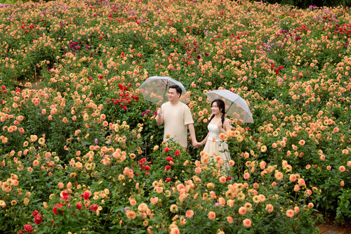 Hayes Studio PRE 2228.jpg