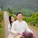 Hayes Studio PRE 2362