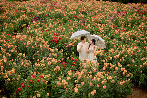 Hayes Studio PRE 2233.jpg