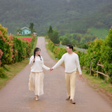 Hayes Studio PRE 2466