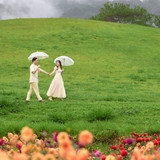 Hayes Studio PRE 2109