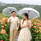 Hayes Studio PRE 2149