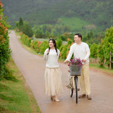 Hayes Studio PRE 2250