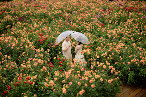 Hayes Studio PRE 2231.jpg