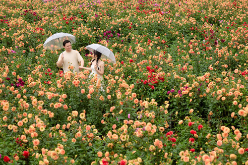 Hayes Studio PRE 2192.jpg