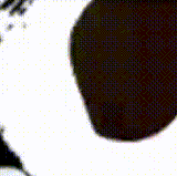 YouCut 20250916 171702115 (1)