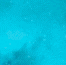 Vita est dolor.gif