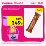 Magnum 1620x1620 1 tov 2025 09 17T113824.325