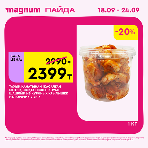 Magnum 1620x1620 1 tov 2025 09 17T113841.197.png