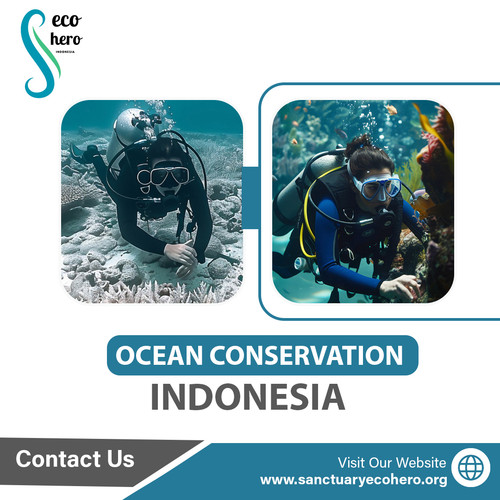 Ocean Conservation Indonesia.jpg