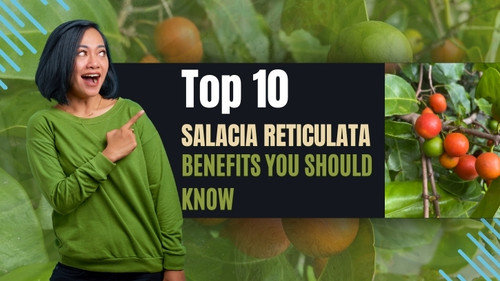 Top 10 Salacia Reticulata Benefits You Should Know.jpg