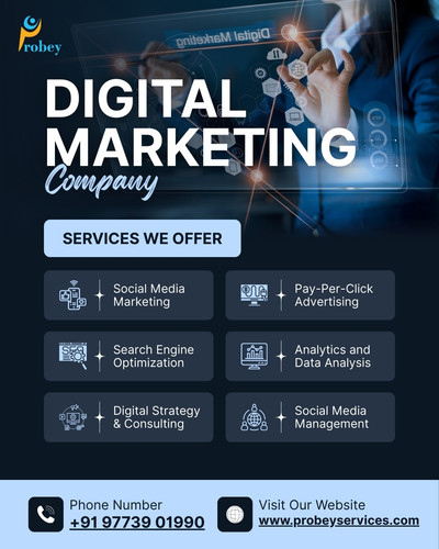 Probey Services Global Digital Experts in Web Development, App Solutions & SEO.jpg