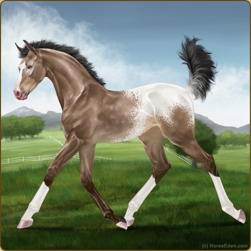 Whirlwind Free Sunset Valley. wings.jpg