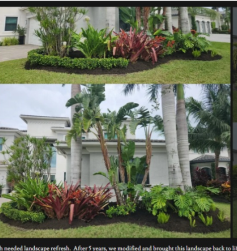 Landscape Design Wellington.png