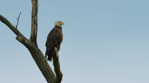 Screenshot 2025 09 16 233041.png