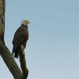 Screenshot 2025 09 16 233041