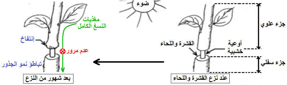 الوثيقة 9